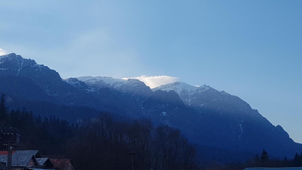 Apartament GreenStar Sinaia Buitenkant foto
