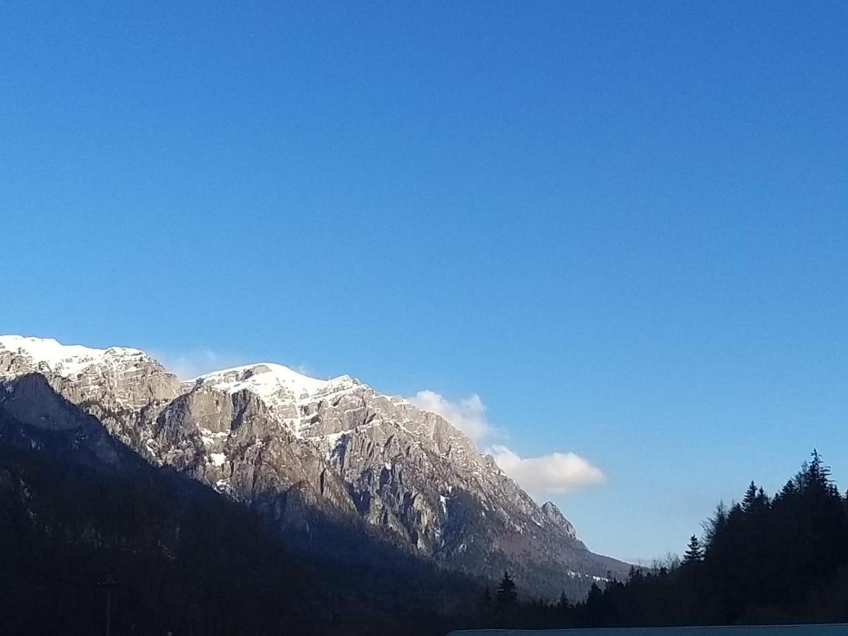 Apartament GreenStar Sinaia Buitenkant foto