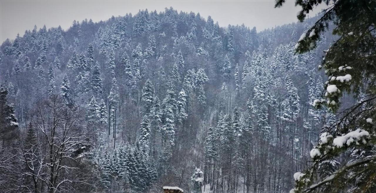 Apartament GreenStar Sinaia Buitenkant foto