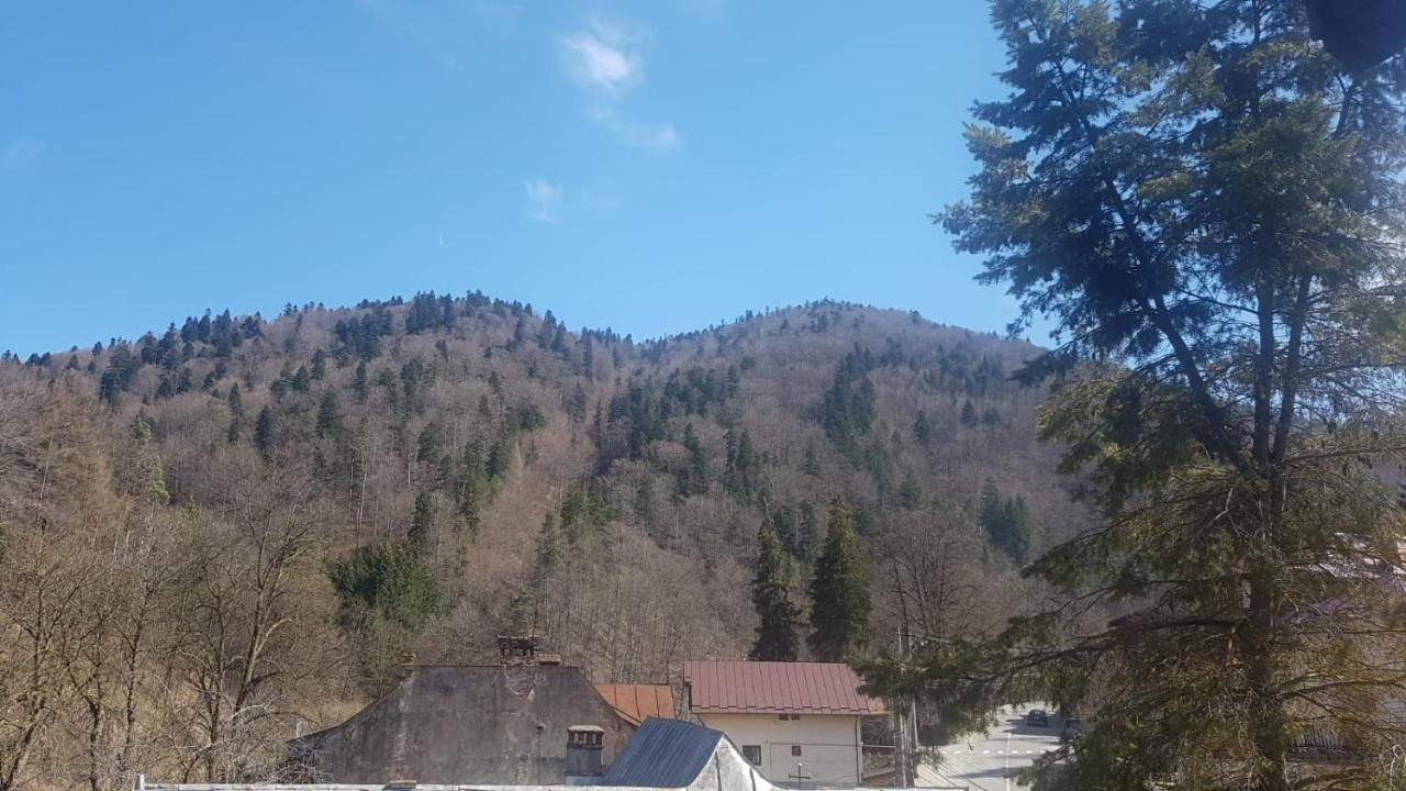 Apartament GreenStar Sinaia Buitenkant foto