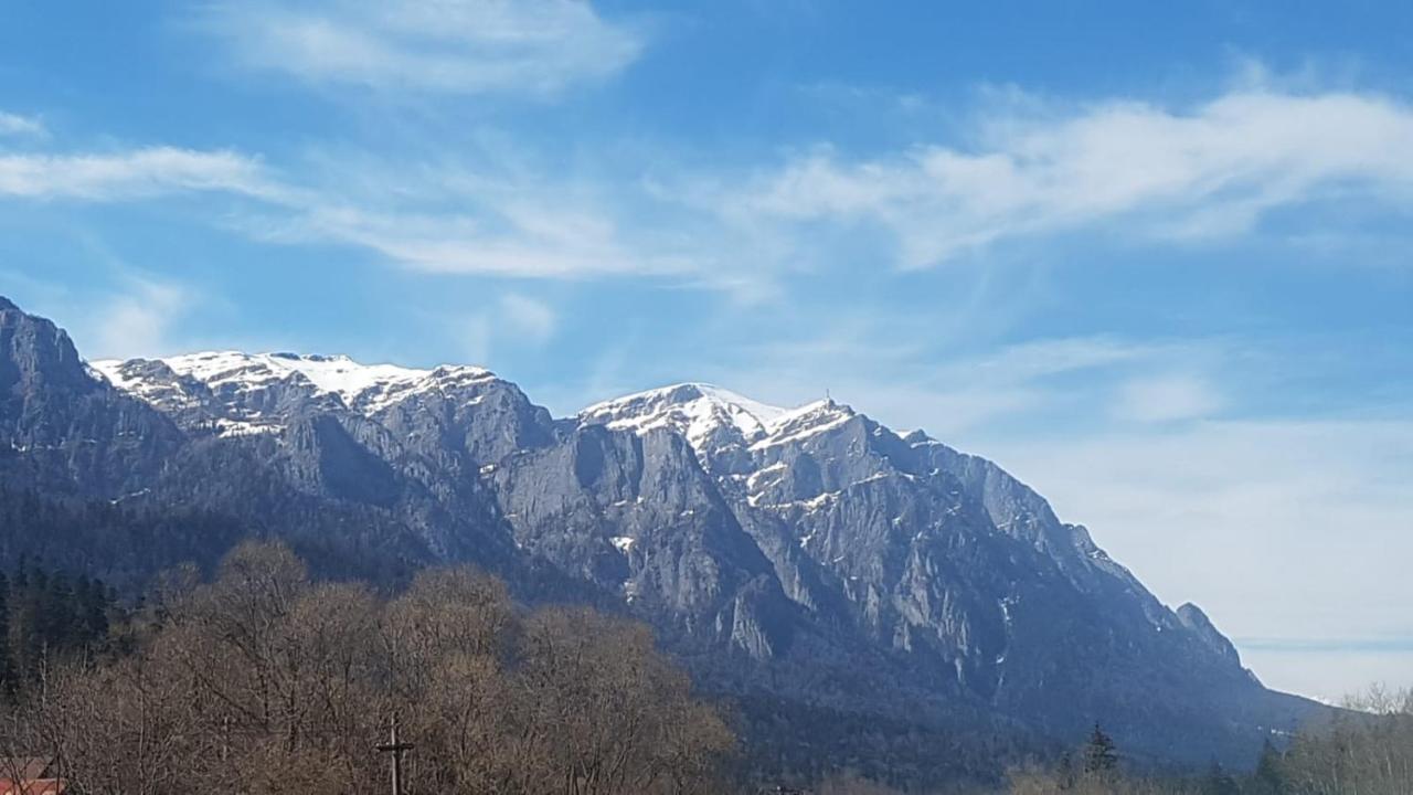 Apartament GreenStar Sinaia Buitenkant foto